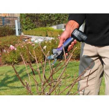 Campagnola Campagnola Cesoia SL32 | 290,16 € + IVA