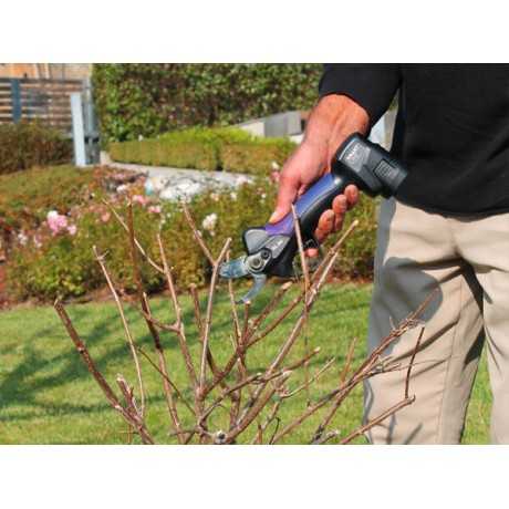 Campagnola Campagnola Cesoia SL32 | 290,16 € + IVA