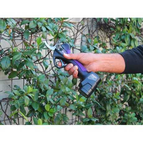 Campagnola Campagnola Cesoia SL32 | 290,16 € + IVA