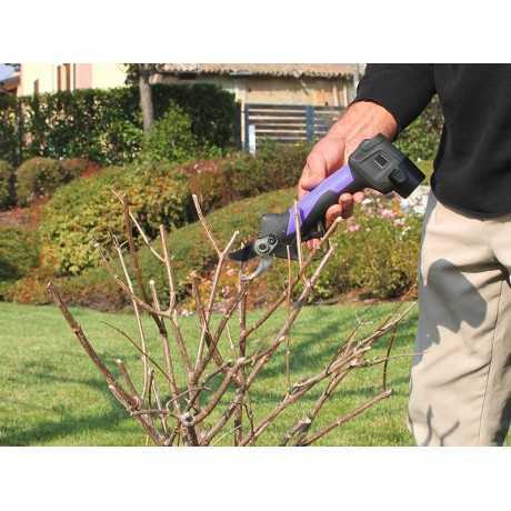 Campagnola Campagnola Cesoia SL23 | 117,21 € + IVA