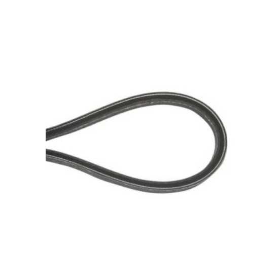 Efco Cinghia retromarcia per motozappa Efco MZ 2075 – L66151135 | 18,77 € + IVA