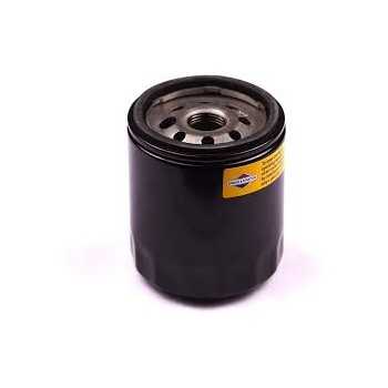 Briggs&Stratton Filtro Olio originale Briggs&stratton alto | 16,07 € + IVA