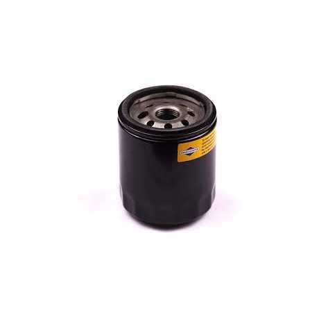 Briggs&Stratton Filtro Olio originale Briggs&stratton alto | 16,07 € + IVA