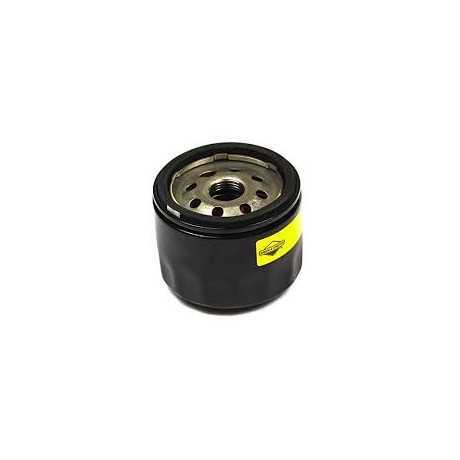 Briggs&Stratton Filtro Olio originale Briggs&stratton | 28,28 €