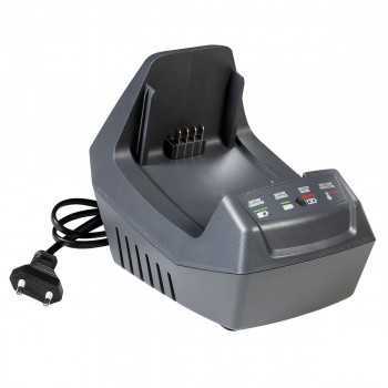 Efco Efco Decespugliatore DSi 30 con batteria Bi 2,5 EF e caricabatterie CRG | 233,61 € + IVA