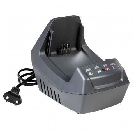 Efco Efco Decespugliatore DSi 30 con batteria Bi 2,5 EF e caricabatterie CRG | 233,61 € + IVA
