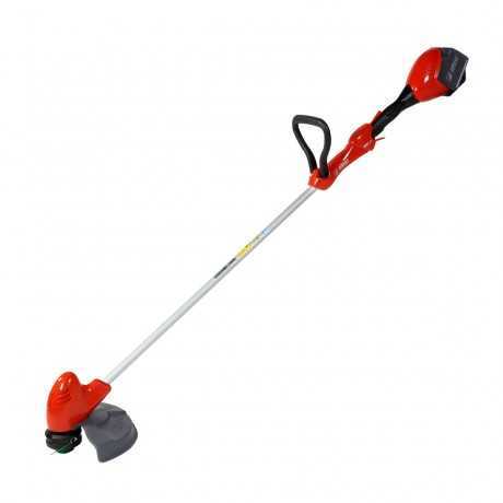 Efco Efco Decespugliatore DSi 30 con batteria Bi 2,5 EF e caricabatterie CRG | 233,61 € + IVA